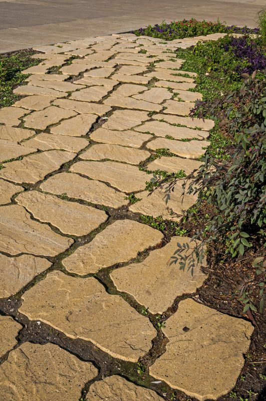 Restored Paver Pathway