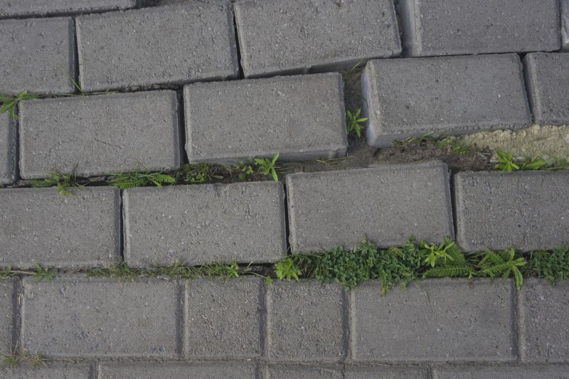 Repaired Paver Edges
