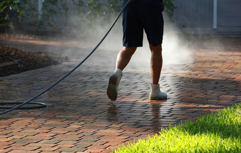 Driveway Paver Restoration Process